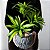 Planta Artificial Dracena 36cm 3 Troncos - Imagem 9