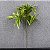 Planta Artificial Dracena 36cm 3 Troncos - Imagem 10