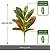 Plantas Artificial Croton De 24cm a 41cm Forração - Imagem 2