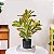 Plantas Artificial Croton De 24cm a 41cm Forração - Imagem 16