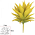 Planta Artificial Folhagem Suculenta  Agave Amarelo 15cm - Imagem 1