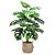 Planta Artificial Costela de Adão 70cm 18 Folhas - Imagem 3