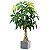 Planta Artificial Árvore Cheflera 95cm e 85cm Decoração ao Ar Libre, Tropical e Jardim - Imagem 10
