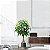 Planta Artificial Árvore Cheflera 95cm e 85cm Decoração ao Ar Libre, Tropical e Jardim - Imagem 9