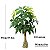 Planta Artificial Árvore Cheflera 95cm e 85cm Decoração ao Ar Libre, Tropical e Jardim - Imagem 7