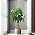 Planta Artificial Árvore Cheflera 95cm e 85cm Decoração ao Ar Libre, Tropical e Jardim - Imagem 1