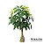 Planta Artificial Árvore Cheflera 95cm e 85cm Decoração ao Ar Libre, Tropical e Jardim - Imagem 6