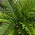 Planta Artificial Palmeira Cycas 45cm 18 Folhas - Imagem 2