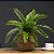 Planta Artificial Palmeira Cycas 45cm 18 Folhas - Imagem 1