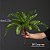 Planta Artificial Palmeira Cycas 45cm 18 Folhas - Imagem 5