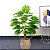 Planta Artificial Palmeira Leque 50cm - 95cm 24 Folhas Decoração Casa e Jardim - Imagem 3