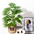 Planta Artificial Palmeira Leque 50cm - 95cm 24 Folhas Decoração Casa e Jardim - Imagem 15