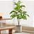 Planta Artificial Ficus 76cm - 140cm Verde Decoração Casa e Jardim - Imagem 4