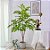 Planta Artificial Ficus 76cm - 140cm Verde Decoração Casa e Jardim - Imagem 1