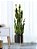Planta Artificial Espada de São Jorge 45cm - 90cm Para Casa, Escritório, Jardim, Decoração - Imagem 4