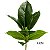 Planta Artificial Ficus 43cm 9 Folhas Diversos Modelos - Imagem 8