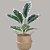 Planta Artificial Ficus 43cm 9 Folhas Diversos Modelos - Imagem 5