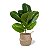 Planta Artificial Ficus 43cm 9 Folhas Diversos Modelos - Imagem 6