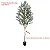Planta Artificial Oliveira Grande com Pote 60 - 240cm, Tropical para Casa, Escritório, Decoração - Imagem 7