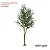 Planta Artificial Oliveira Grande com Pote 60 - 240cm, Tropical para Casa, Escritório, Decoração - Imagem 5