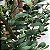 Planta Artificial Oliveira Grande com Pote 60 - 240cm, Tropical para Casa, Escritório, Decoração - Imagem 20