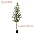 Planta Artificial Oliveira Grande com Pote 60 - 240cm, Tropical para Casa, Escritório, Decoração - Imagem 9