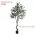 Planta Artificial Oliveira Grande com Pote 60 - 240cm, Tropical para Casa, Escritório, Decoração - Imagem 12