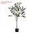 Planta Artificial Oliveira Grande com Pote 60 - 240cm, Tropical para Casa, Escritório, Decoração - Imagem 2