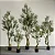 Planta Artificial Oliveira Grande com Pote 60 - 240cm, Tropical para Casa, Escritório, Decoração - Imagem 1