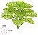 Planta Artificial Brunnera Real Toque Verde Creme 45cm - Imagem 1