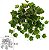 Planta Artificial Folhagem Geranio Pendurar Real Toque C/Uv X70 Verde Creme 36cm - Imagem 1