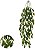 Planta Artificial Folhagem Dischidia Pendurar C/Print X97 Verde 80cm - Imagem 1