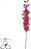 Haste Bougainville X24 Fuscia 82cm - Imagem 1
