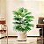 Planta Artificial Palmeira Leque 60cm - 105cm Para Sala, Varanda e Escritório - Imagem 21