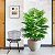 Planta Artificial Palmeira Leque 60cm - 105cm Para Sala, Varanda e Escritório - Imagem 2