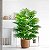 Planta Artificial Palmeira Leque 60cm - 105cm Para Sala, Varanda e Escritório - Imagem 1