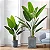 Planta Artificial Árvore Bananeira 90cm - 1,20m Decoração de Casa - Imagem 10