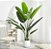 Planta Artificial Árvore Bananeira 90cm - 1,20m Decoração de Casa - Imagem 6