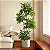 Planta Artificial Árvore Ficus Feliz Decoração De Casa 70cm - 200cm - Imagem 3