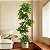 Planta Artificial Árvore Ficus Feliz Decoração De Casa 70cm - 200cm - Imagem 4