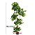 Planta Artificial Árvore Ficus Feliz Decoração De Casa 70cm - 200cm - Imagem 16