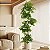 Planta Artificial Árvore Ficus Feliz Decoração De Casa 70cm - 200cm - Imagem 2