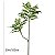 Planta Artificial Árvore Ficus Feliz Decoração De Casa 70cm - 200cm - Imagem 11