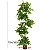 Planta Artificial Árvore Ficus Feliz Decoração De Casa 70cm - 200cm - Imagem 10