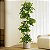 Planta Artificial Árvore Ficus Feliz Decoração De Casa 70cm - 200cm - Imagem 8