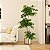 Planta Artificial Árvore Ficus Feliz Decoração De Casa 70cm - 200cm - Imagem 7
