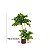 Planta Artificial Árvore Ficus Feliz Decoração De Casa 70cm - 200cm - Imagem 14