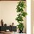 Planta Artificial Árvore Ficus Feliz Decoração De Casa 70cm - 200cm - Imagem 6