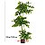 Planta Artificial Árvore Ficus Feliz Decoração De Casa 70cm - 200cm - Imagem 15
