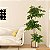 Planta Artificial Árvore Ficus Feliz Decoração De Casa 70cm - 200cm - Imagem 5